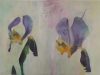 Iris guêpière diptyque 2 - 2001